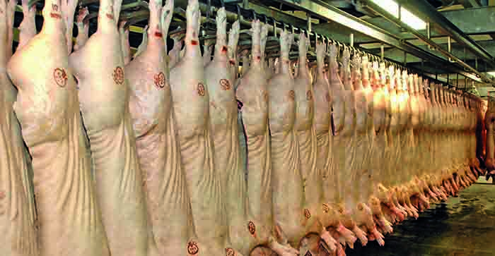 How to Sell Pigs and make a Profit