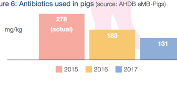 Pig sector on course to meet 2020 antibiotic targets Screen Shot 2018-11-19 at 11.05.25