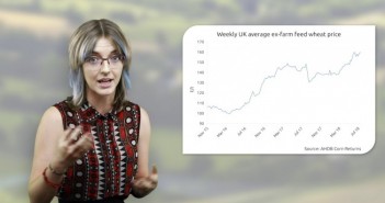 Uncertain times for the pig industry in 2019 bethan wilkins