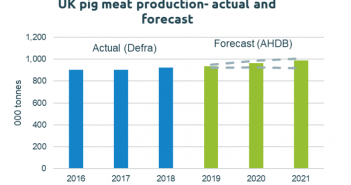 China demand to boost prices as UK production forecast to rise AHDB Outlook Production Forecast