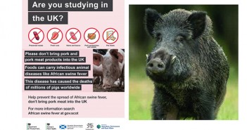 University students reminded of their role in ASF ASF poster