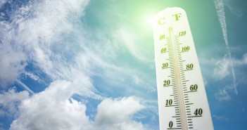 Take steps to prevent heat stress in livestock, urges agricultural expert Heat stress warning