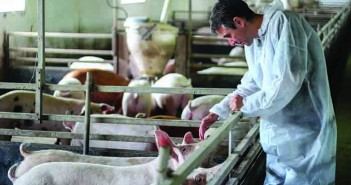 ‘We want to inspire people – it’s about embedding good biosecurity every time’ The Pig Health and Welfare Council is keen to engage the unengaged to use good biosecurity each and every time