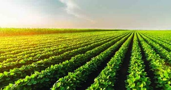 84 supply chain organisations issue soya warnings to Brazil Soya