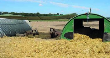 My guide to unexpected event planning Sun shade between huts