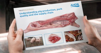 New pork programme will increase industry skills Meat Ed Understanding