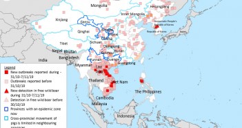 African swine fever continues to spread in Asia FAO update Nov 7