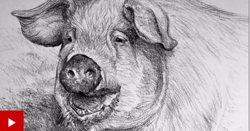 Suffolk artist raising funds for farmers’ mental health Kate Batchelor drawing