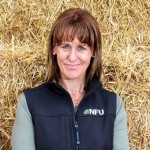 Farmers to demand action on post-Brexit food standards at Westminster rally minette batters