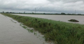 UK farming industry calls for three-crop rule derogation Flood, NFU pic