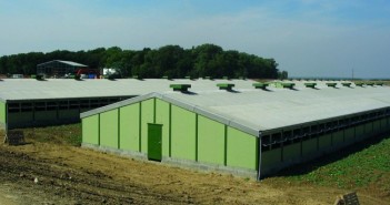 How uncertainty is stifling investment in pig buildings New pig building 2