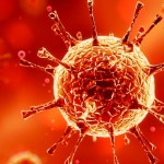 Cluster of COVID-19 cases identified at Pilgrim’s Redruth plant Coronavirus