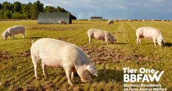 Cranswick awarded top global welfare ranking for fourth year in a row Cranswick BBAFW