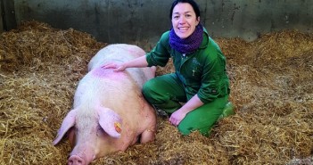 Lessons learned from the pandemic Ciara O'neill