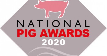 National Pig Awards 2020 to be held virtually in November grey pig award logo 2020_RGB