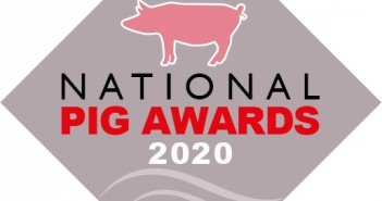 National Pig Awards finalists revealed! grey pig award logo 2020_RGB