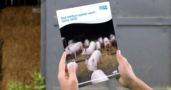 Vast majority of pigs farms have good levels of welfare, updated report shows Real Welfare