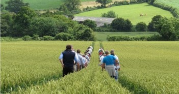 AHDB launches Carbon Week on 1st March to support farmers FE ad small