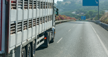 NFU responds to Welfare in Transport consultation Untitled design (7)