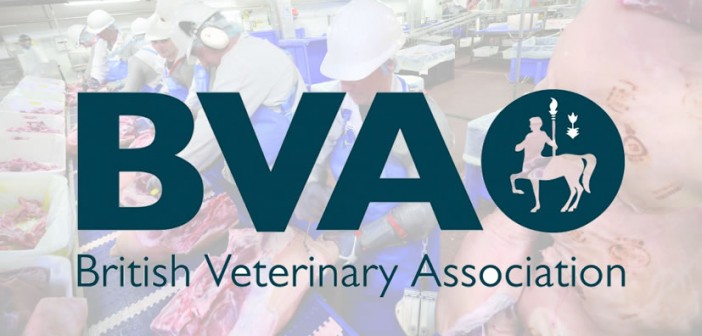 The BVA delivers its recommendations for post-Brexit EU trade BVA Cutting Line