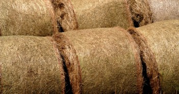 Straw prices for the week ending May 29, 2022