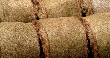 Straw prices for the week ending May 29, 2022 Straw Prices