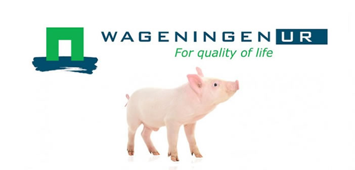 Wageningen
