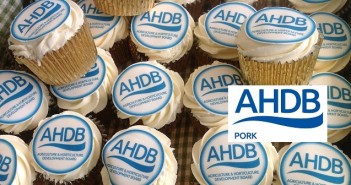 AHDB cakes