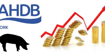 GB pig prices for week ending May 21, 2022 – SPP up again AHDB_rising_graph_sterling