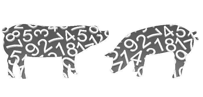 Pig_numbers_graphic
