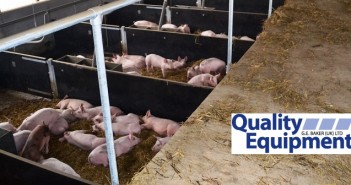 Growth in straw-based pig housing reported QE straw