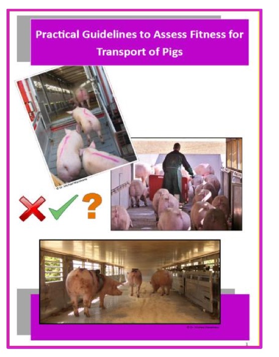 Pig transport