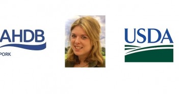 Early signs that US pig output could reduce by late 2016 AHP + Millie Askew