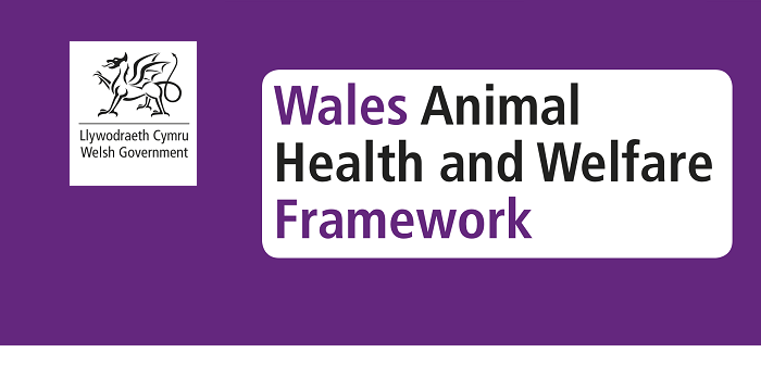 Welsh animal health report