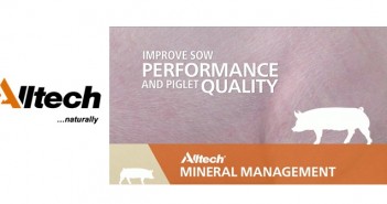 Alltech’s acquisition of Keenan creates “growth opportunities Alltech pigs