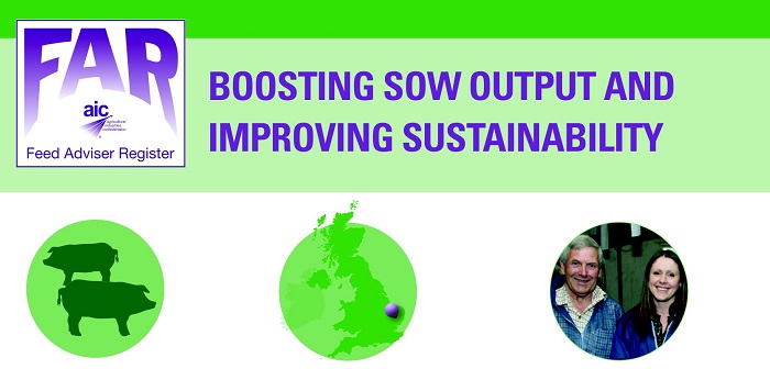 Pig tutorial picture