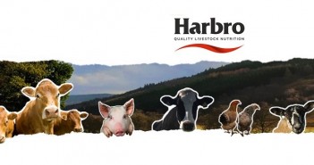 Harbro sets £40,000 charity target for 40th anniversary celebration Harbro image