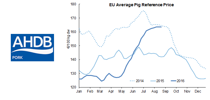 AHP eu-pig-prices Aug 30