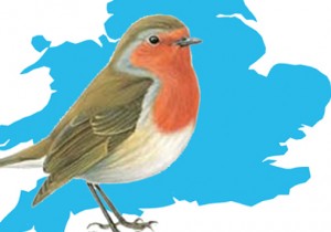 Red Robin is a producer and industry insider at the heart of the British pig sector