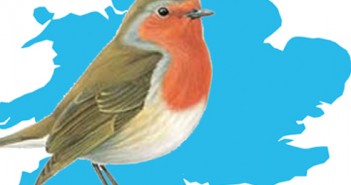 We can all play our part – let’s embrace the green agenda Column-Red_Robin
