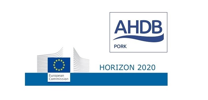 EC Horizon 2020 + AHP