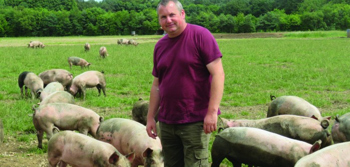 Michael Baker North Farm Livestock