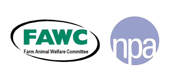 NPA welcomes positive move for Farm Animal Welfare Committee | Pig World
