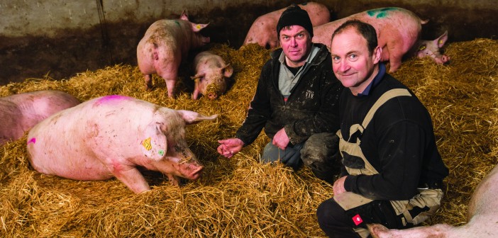 Patrick Stephen on his pig farm near Inverurie, with unit manager Wayne Ducker