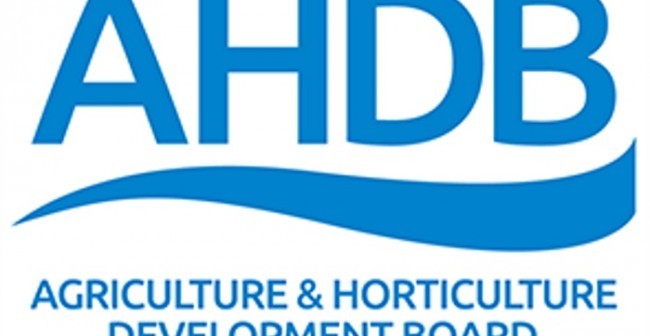 ahdb-generic-logo-700-e1504512556144