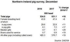 Northern ireland pig numbers