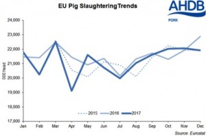 Slaughtering trends
