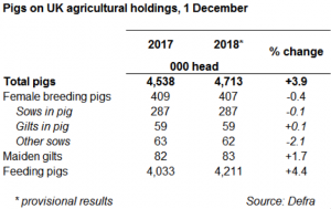 pigs on holdings