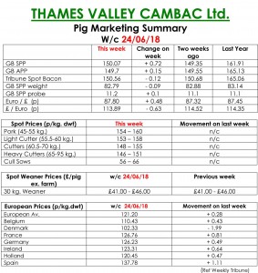 THAMES VALLEY CAMBAC Ltd