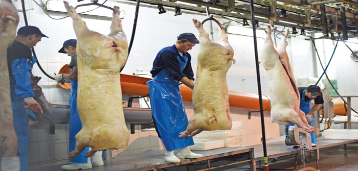 Pig industry heading towards crisis as staff shortages bite – NPA abattoir workers 3